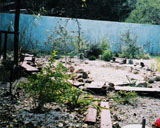 2004 ���