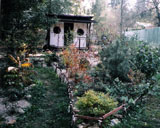 2005 ���